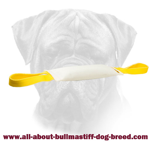 Fire Hose Bite Tug With Handles for Bullmastiff