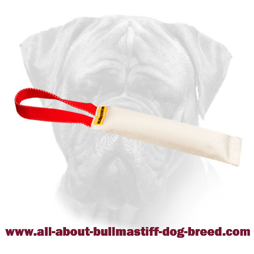 Bullmastiff Training Bite Tug made of Fire Hose With Handle
