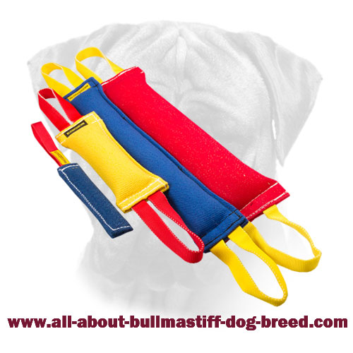 Bullmastiff Bite Training Set of French Linen