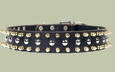 Black Leather Spiked Studded Dog Collar for Bullmastiff