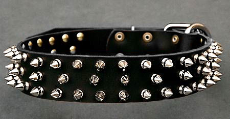 Black Spiked Leather Dog Collar for Bullmastiff