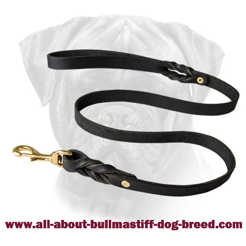Stylish Leather Bullmastiff Leash for Walking and Training