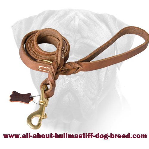 Exclusive Leather Leash for Bullmastiff with Braided Ends