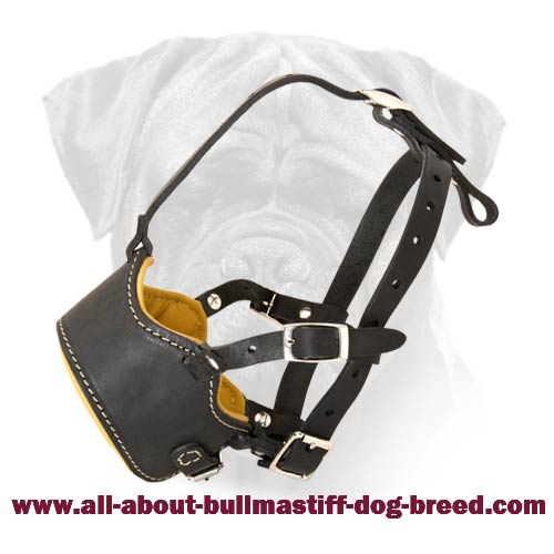 Open Nose Design Leather Bullmastiff Muzzle