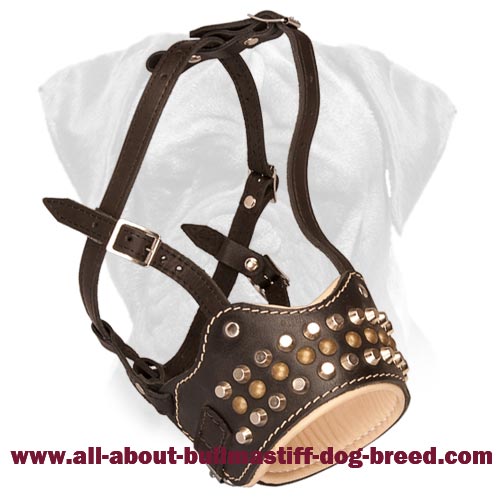 Posh Handcrafted Studded Leather Bullmastiff Muzzle