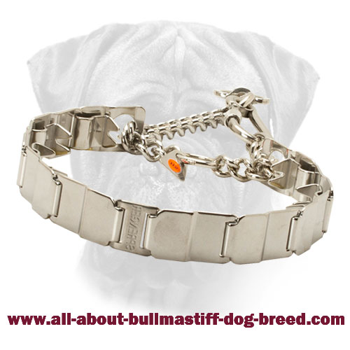 Stainless Steel Neck Tech Bullmastiff Prong Collar