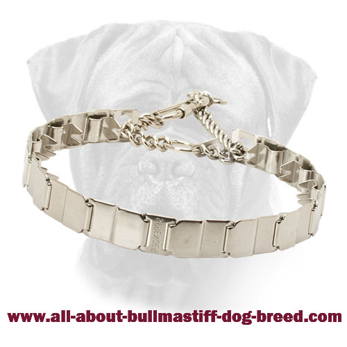 Stainless Steel Bullmastiff Prong Collar for Obedience Training