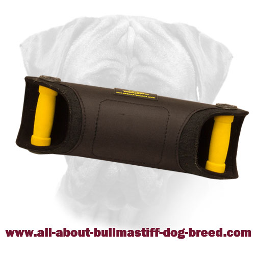 Puppy and Young Bullmastiff Bite X-Builder