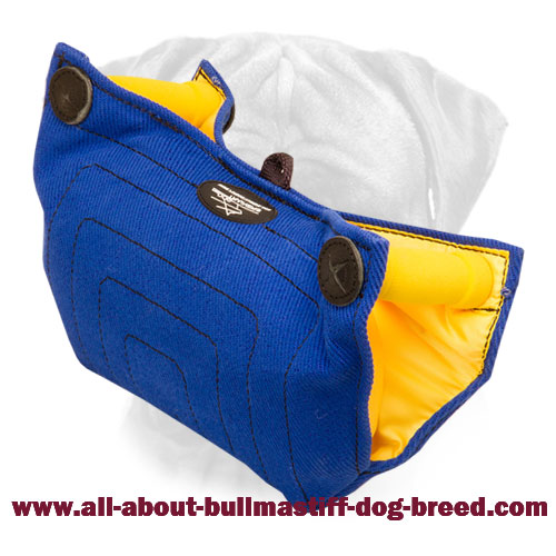 Bullmastiff Puppy Bite Builder