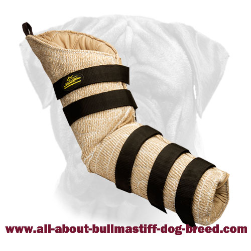 Professional Bullmastiff Bite Sleeve