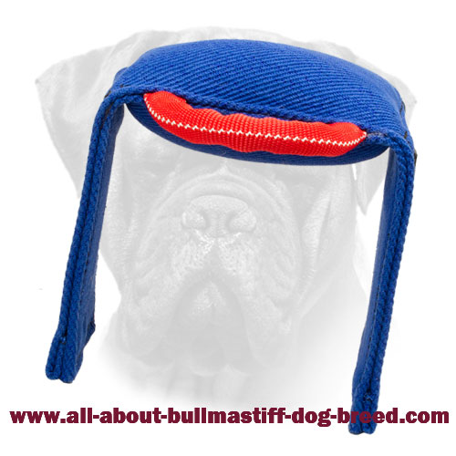 Bullmastiff Pad for Training