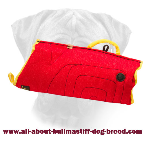 Bullmastiff Bite Sleeve for Training Puppy