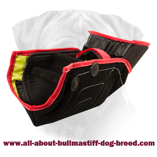 Effective Training with Bullmastiff Bite Sleeve Made of French Linen