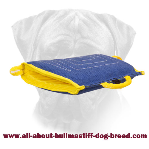 Bullmastiff Puppy Sleeve Made of French Linen Material