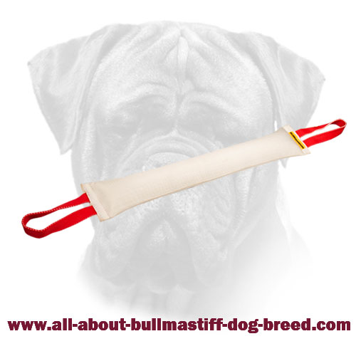 Huge Fire Hose Bullmastiff Bite Tug with 2 Handles