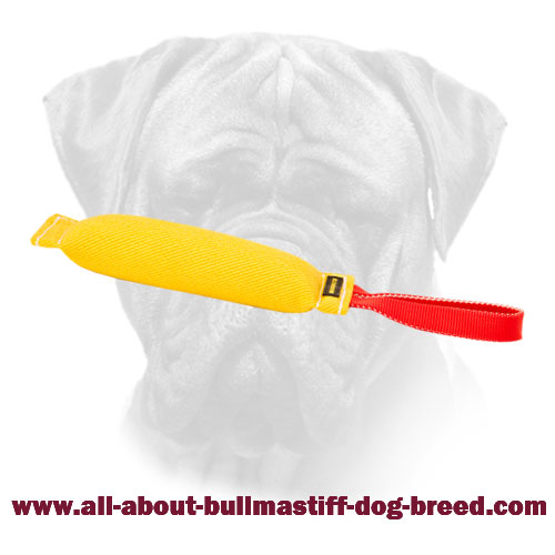 Bite Tag Made of French Linen for Bullmastiff