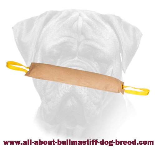 Huge Leather Bite Tug for Bullmastiff Training