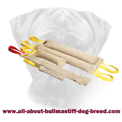 Training Set of Bullmastiff Bite Tugs