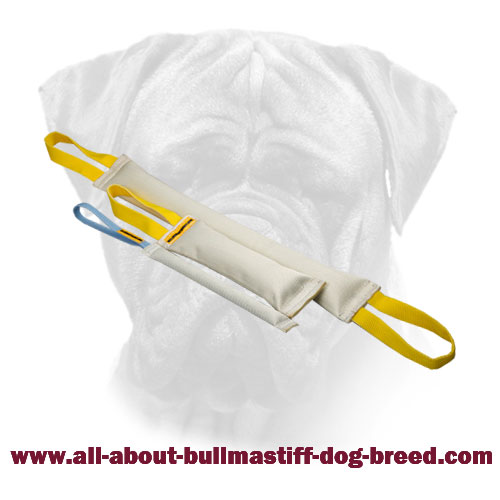 Bullmastiff Bite Tugs Set Made of Fire Hose + Gift