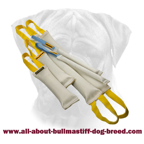 Professional Bite Tugs Set for Bullmastiff Training