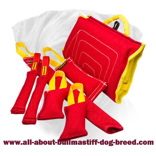 French Linen Training Set of Bite Tugs for Bullmastiff Puppy