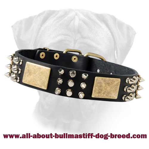 Decorated Leather Dog Collar for Bullmastiff Breed