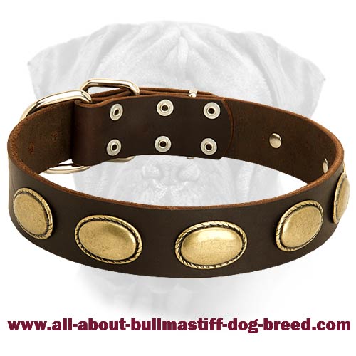 High Quality Leather Dog Collar for Bullmastiff