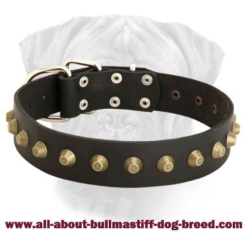 Gorgeous Wide Leather Dog Collar for Bullmastiffs