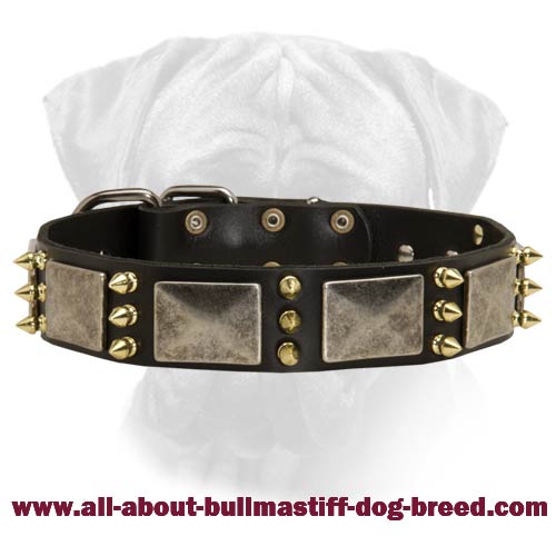 Custom Spiked Leather Dog Collar - perfect handmade dog collar