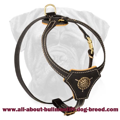 Designer Leather Dog Harness for Bullmastiff Puppies' Walking and Training