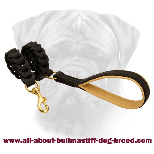 Creatively Designed Leather Leash with a Padded Handle for Bullmastiffs