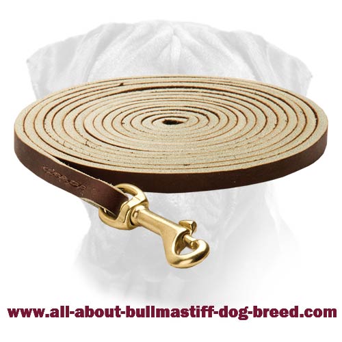 Fascinating Leather Bullmastiff Leash for Tracking