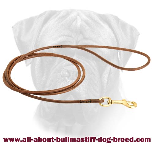 Fascinating Round Handcrafted Leather Leash for Bullmastiffs