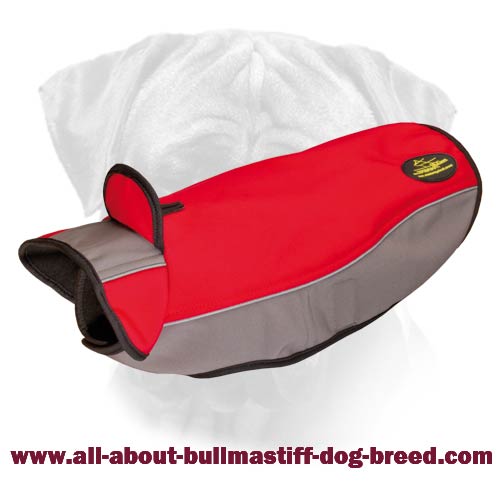 Newly Designed Warm Winter Walking Dog Jacket For Your Bullmastiff