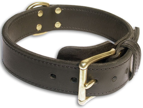 Agitation Bullmastiff Collar 2 Ply Leather