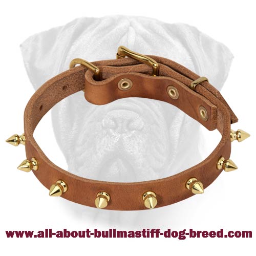 Brilliant Leather Collar with Hand Set Shiny Spikes for Bullmastiffs