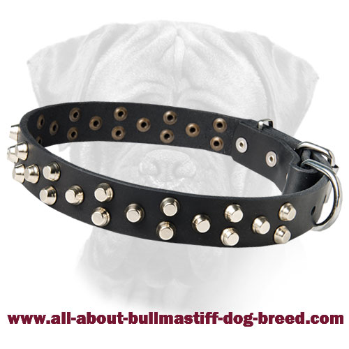 Bullmastiff Leather Collar with Rustproof Studs