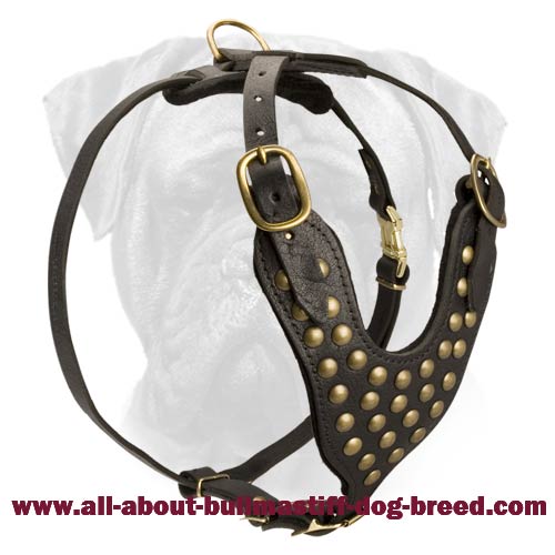 Designer Brass Studded Leather Dog Harness for Bullmastiffs