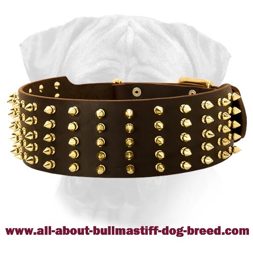 luxury leather dog collars