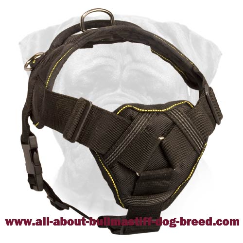 Tracking Nylon Dog Harness for Bullmastiff Breed with a Soft Padded Chest Plate