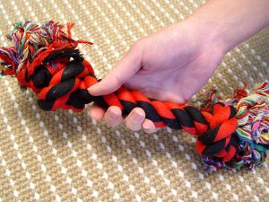 2-Knot Fiber Bone for Bullmastiffs - TT15