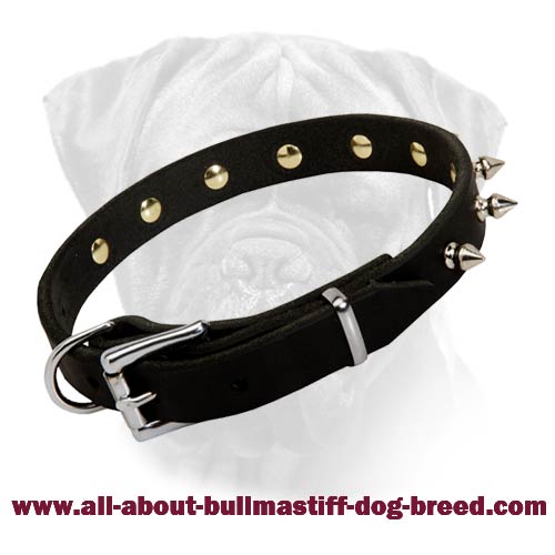 Bullmastiff Newly Designed Handcrafted Spiked Leather Collar
