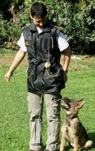 Handler Vest Dog Training for Schutzhund Dog