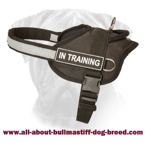 All Weather Nylon Bullmastiff Harness with Reflective Strap