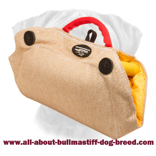 Jute Bite Builder for Puppy and Young Bullmastiff