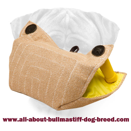 Bullmastiff Bite Developer for Safe and Effective Training