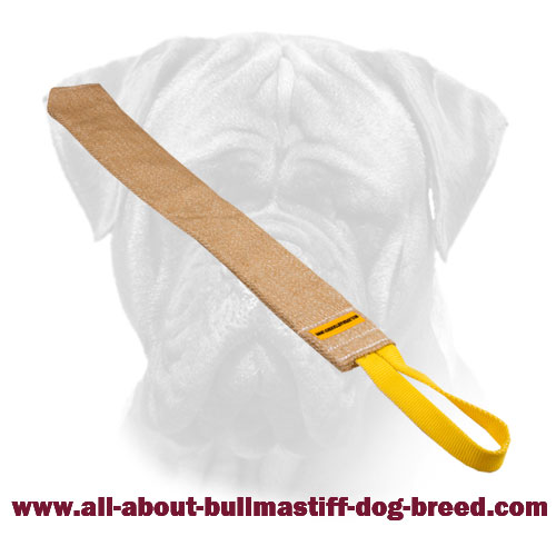 Bullmastiff Jute Bite Rag for Training Puppy - Click Image to Close