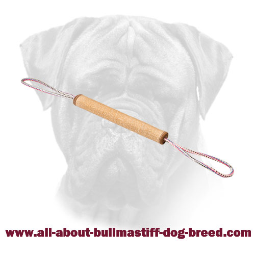 Jute Bullmastiff Roll for BiteTraining and Playing