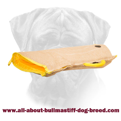 Bullmastiff Bite Sleeve for Training Puppy