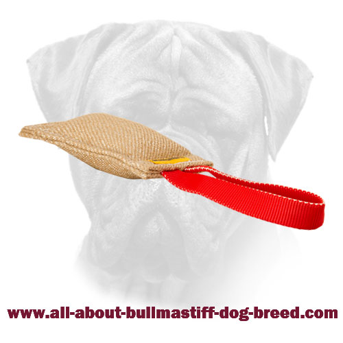 Jute Bullmastiff Puppy Bite Tug with One Handle